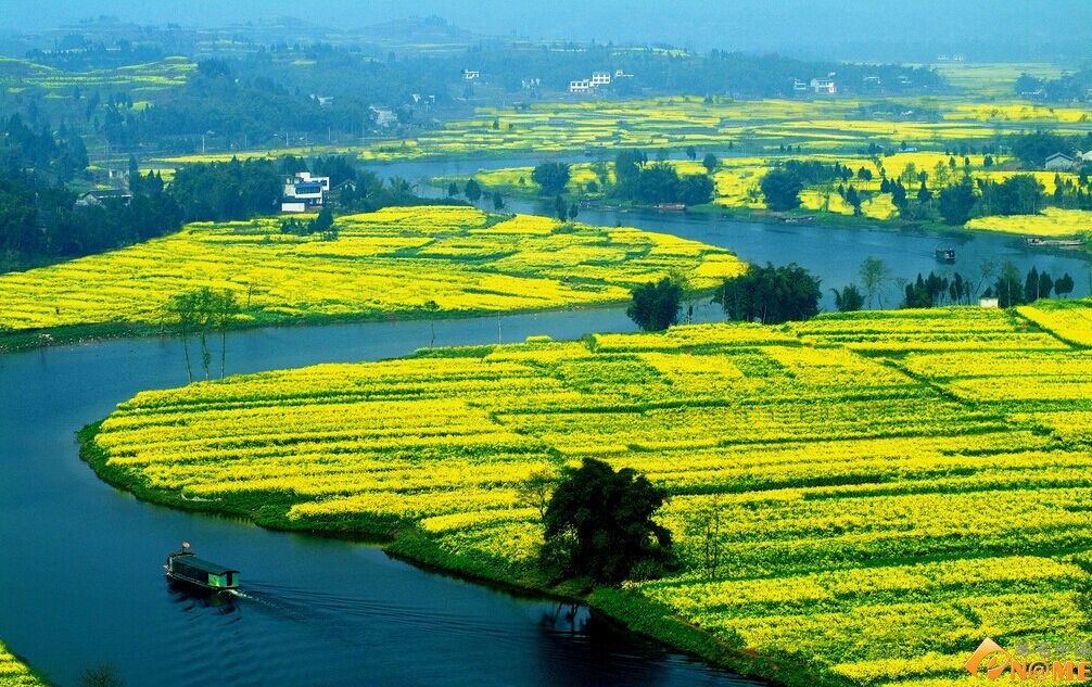 搜索知识产权门户:域名 商标 专利 版权 | 易名科