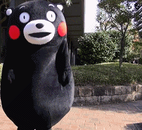 微信图片_20191104200746.gif